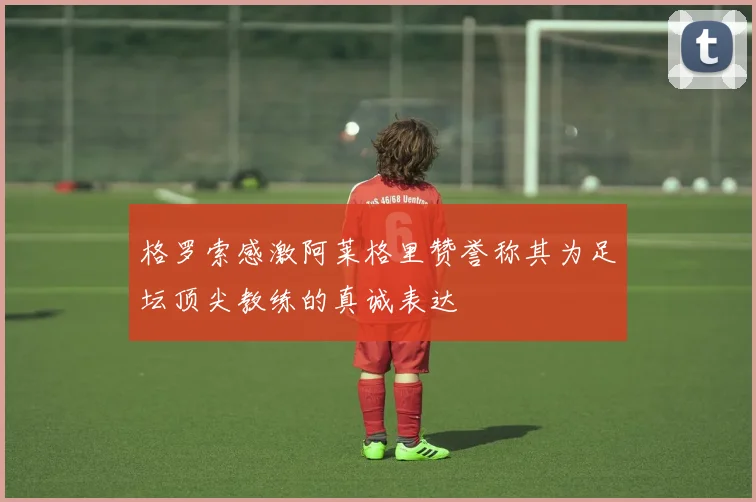 格罗索感激阿莱格里赞誉称其为足坛顶尖教练的真诚表达