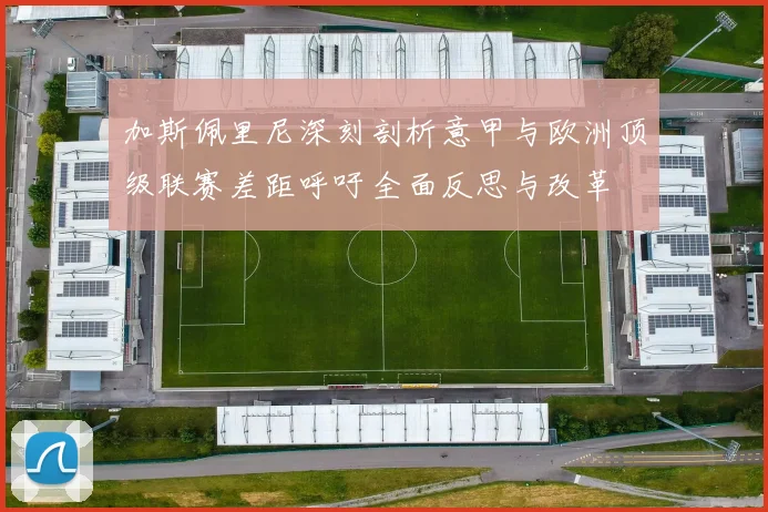 加斯佩里尼深刻剖析意甲与欧洲顶级联赛差距呼吁全面反思与改革