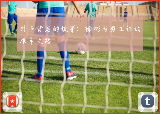 外卡背后的故事：徐彬与劳工证的艰辛之路